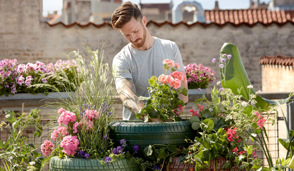Post Image How Gardening Can Reduce Stress Improves mental stress - How Gardening Can Reduce Stress